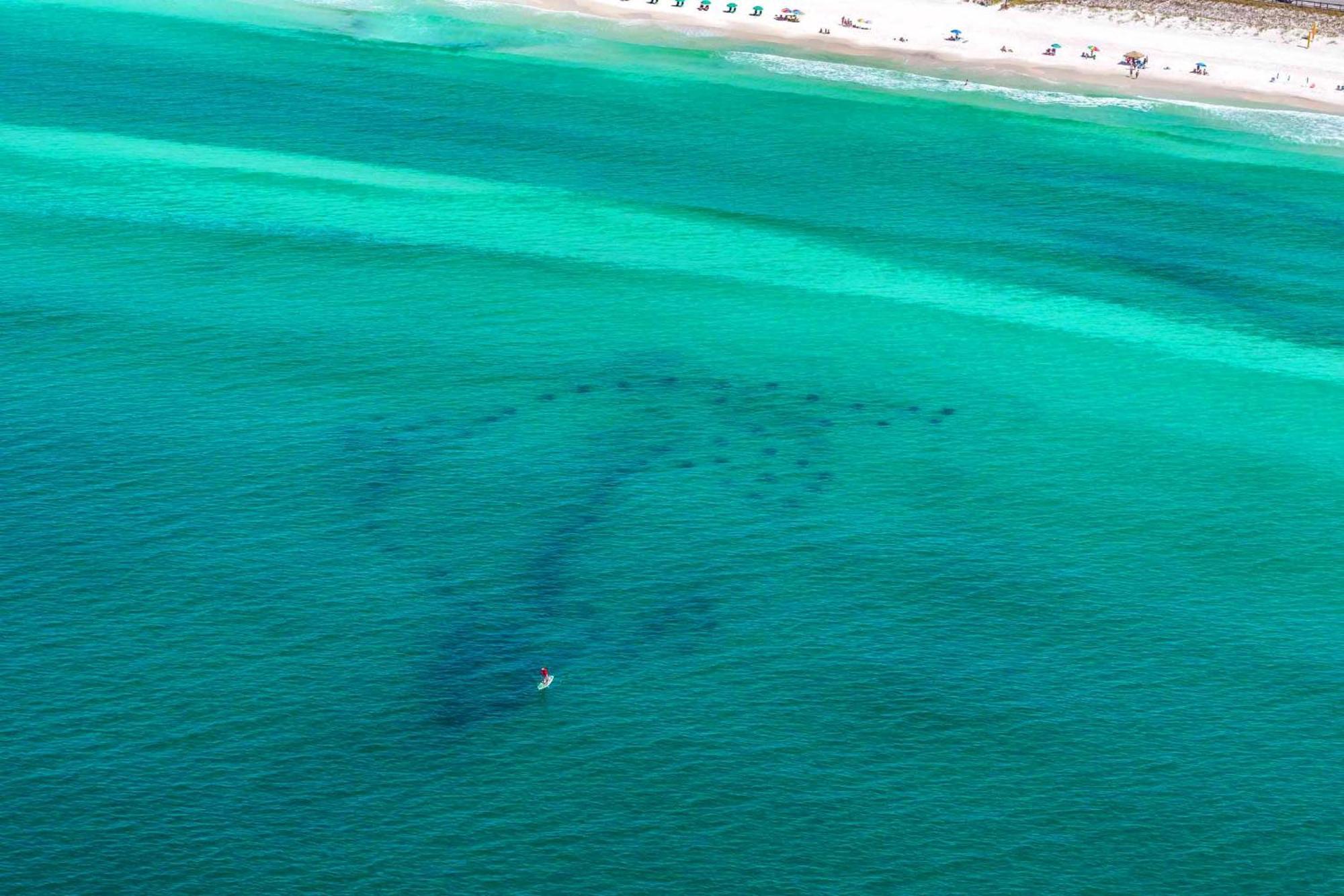 Ariel Dunes I 2207 Destin Luaran gambar